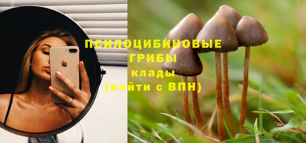 мет Нея