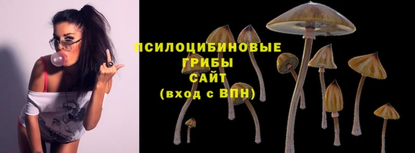 мет Нея