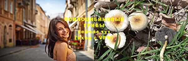 мет Нея