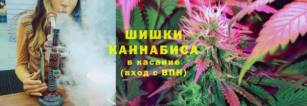 мет Нея