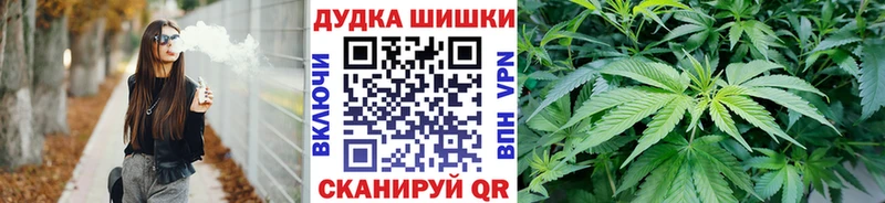 дарнет шоп Щучье Бошки марихуана гибрид